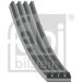 FEBI BILSTEIN 38440 Keilrippenriemen