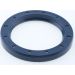 Dichtring 12010952B
