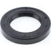 Dichtring 12000721B