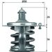 Mahle Thermostat, Kühlmittel BEHR TX 79 78D