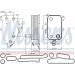 Nissens Ölkühler, Motoröl FIRST FIT 90737