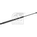 FEBI BILSTEIN 180360 Gasfeder, Koffer-/Laderaum