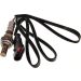 Maxgear Lambdasonde 59-0027 Maxgear Lambdasonde 59-0027