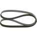 BOSCH 1 987 947 577 Keilrippenriemen 1205mm, 6