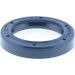 Dichtring 12001674B