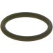 BOSCH Dichtring F 00R J00 534