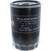 Ölfilter V10-0320