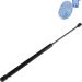Blue Print Gasfeder, Koffer-/Laderaum ADB115802