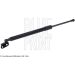 Gasfeder, Koffer-/Laderaum ADBP580030