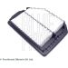 Blue Print Luftfilter ADG022160