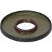 Dichtring B10.810 Dichtring B10.810