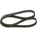 BOSCH Keilrippenriemen 1 987 947 817