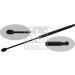 FEBI BILSTEIN 33339 Gasfeder, Koffer-/Laderaum