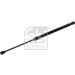 FEBI BILSTEIN 174844 Gasfeder, Koffer-/Laderaum