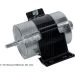 Blue Print Kraftstofffilter ADG02373
