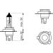 Glühlampe, Fernscheinwerfer 1 987 302 092 Glühlampe, Fernscheinwerfer 1 987 302 092