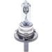 BOSCH Glühlampe Pure Light WS 1 987 302 088