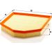 MANN-FILTER C 30 013 Luftfilter