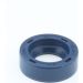Dichtring 12010773B