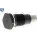 Steuerkettensatz V10-10001-BEK