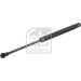 FEBI BILSTEIN 27915 Gasfeder, Koffer-/Laderaum