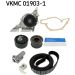 SKF Wasserpumpe + Zahnriemensatz VKMC 01903-1