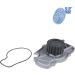 Blue Print Wasserpumpe ADH29120