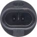 Glühlampe, Nebelscheinwerfer 1 987 302 024 Glühlampe, Nebelscheinwerfer 1 987 302 024
