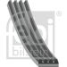 FEBI BILSTEIN 28810 Keilrippenriemen