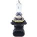 Glühlampe, Hauptscheinwerfer 1 987 301 039 Glühlampe, Hauptscheinwerfer 1 987 301 039