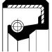 Dichtring 12010773B