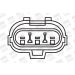 BorgWarner (BERU) Zündspule ZS267
