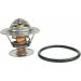 Metzger Thermostat, Kühlmittel 4006284