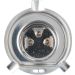 Glühlampe, Hauptscheinwerfer 1 987 301 440 Glühlampe, Hauptscheinwerfer 1 987 301 440