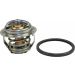Metzger Thermostat, Kühlmittel 4006092