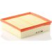 MANN-FILTER C 22 020 Luftfilter