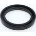 Dichtring 12000706B Dichtring 12000706B