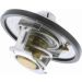 Thermostat, Kühlmittel V25-99-1722