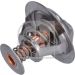 FEBI BILSTEIN 24555 Thermostat, Kühlmittel