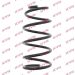 Fahrwerksfeder RC3013 Fahrwerksfeder RC3013