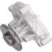 FEBI BILSTEIN 30667 Wasserpumpe