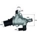 Mahle Thermostat, Kühlmittel BEHR TI 174 88