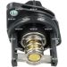 NRF Thermostat, Kühlmittel EASY FIT 725353