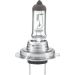 Glühlampe 8GH 007 157-241 Glühlampe 8GH 007 157-241