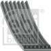 FEBI BILSTEIN 29030 Keilrippenriemen