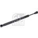 FEBI BILSTEIN 37483 Gasfeder, Koffer-/Laderaum