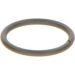 BOSCH Dichtring F 00V C23 002