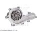 Blue Print Wasserpumpe ADT39133