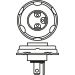 BOSCH Glühlampe Pure Light BL 1 987 301 021