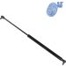 Blue Print Gasfeder, Koffer-/Laderaum ADA105809